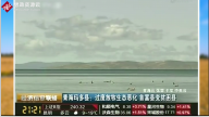 青海省瑪多縣過度放牧<em>破壞</em><em>生態(tài)平衡</em>