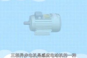 三相異步電動機