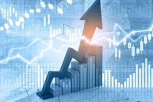<em>課程標準</em>：<em>會計</em>信息<em>管理</em>專業《1 X證書業財一體信息化<em>應用</em>職業技能》<em>課程標準</em>