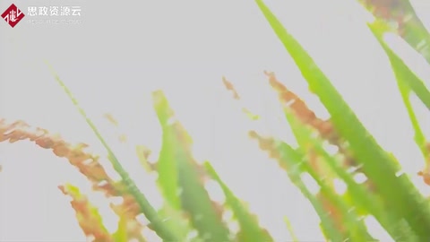 釀酒——中國<em>的</em>傳統(tǒng)