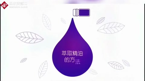 萃取精油的方法<em>有</em><em>哪些</em>呢？<em>你</em>不一定知道！