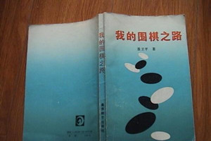 我的<em>圍棋</em>之路
