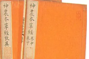 帶你<em>了解</em>《<em>神農(nóng)</em><em>本草經(jīng)</em>》
