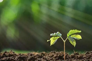 <em>課程標準</em>：<em>學前教育</em><em>專業</em>《<em>幼兒</em>文學》<em>課程標準</em>