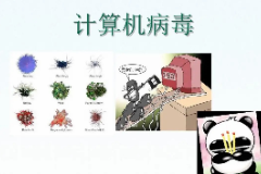 圖片+<em>計算機</em><em>病毒</em>