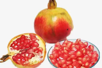 <em>團結</em>—像石榴籽