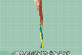 雙絞線—一種綜合布線工程中最常用的傳輸介質