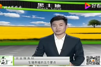 想要豬長膘快，<em>生豬</em>育肥<em>的</em><em>這</em>五個技術(shù)<em>要點</em>要記牢了