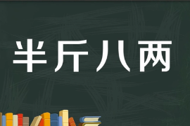 一分鐘了解半斤八兩成語(yǔ)