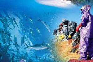 <em>船舶</em><em>與</em><em>海洋工程</em><em>專業</em>：《水聲學原理—基陣指向性》<em>課程</em><em>思</em><em>政</em><em>案例</em>