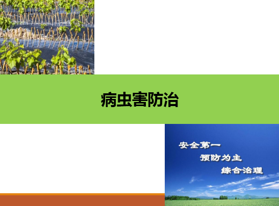 <em>園藝</em>技術<em>專業(yè)</em>：《<em>果樹</em><em>生產(chǎn)</em>創(chuàng)新模塊—病蟲害防治》<em>課程</em><em>思</em>政<em>案例</em>