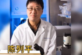 一分鐘了解耶魯癌癥中心免疫學(xué)部主任陳列平