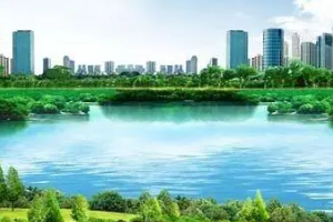風景園林<em>專業</em>：《風景園林<em>生態</em>學基礎—園林植物與物質環境—植物對<em>水</em>的凈化》<em>課程</em><em>思</em><em>政</em>案例