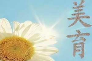 中國民航大學(xué)美育工作<em>實(shí)施方案</em>