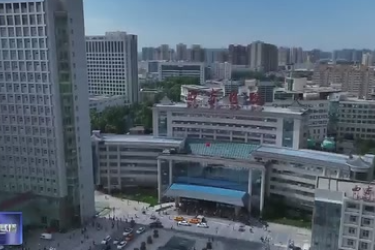 陜西省實(shí)施亞洲首例<em>基因</em><em>編輯</em>豬—終末期腎病患者異種腎移植